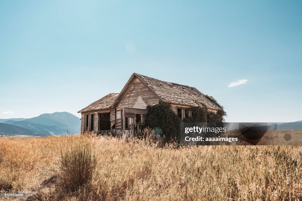 Wooden barn on grass against sky