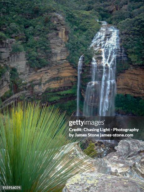 wentworth falls, blue mountains, sydney - katoomba falls stock pictures, royalty-free photos & images