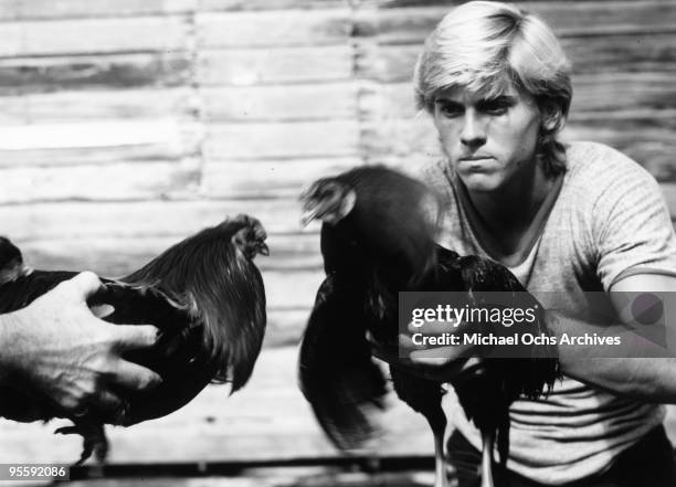 Actor Vince Van Patten performs in a scene from the movie "Rooster" which was released in 1977.