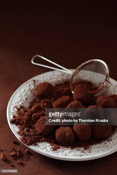 cinnamon-cognac truffles - chocolate truffle bildbanksfoton och bilder