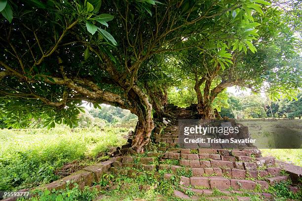 stone stair ruin and trees - champasak stock pictures, royalty-free photos & images