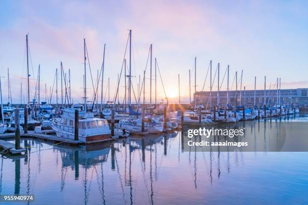 yachts moored at pier against purple sky - san francisco harbor stock pictures, royalty-free photos & images