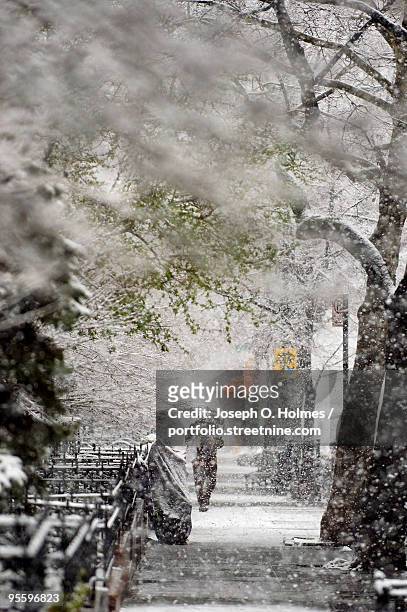 wednesday morning snow - joseph o. holmes stock pictures, royalty-free photos & images