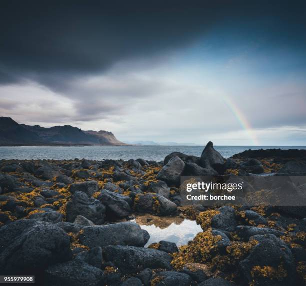 regenbogen am strand - borchee stock-fotos und bilder