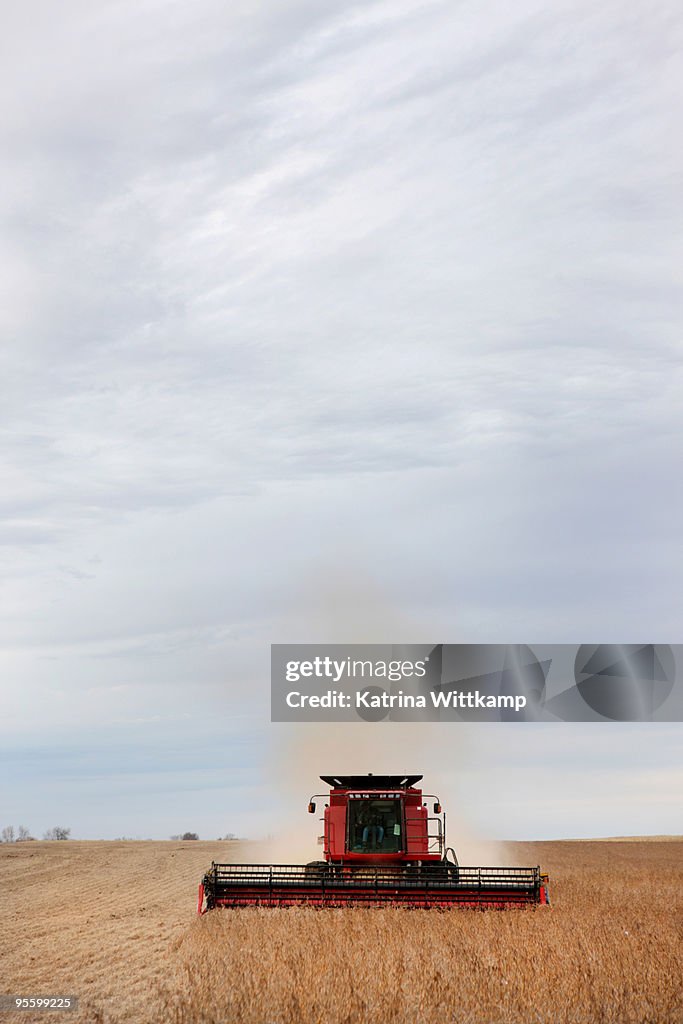 Combine in field of soybeans.