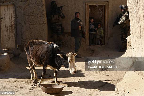 French soldiers and members of the Afghan National Police conduct a house-to-house search at Jalokhel in Kapisa province on January 5, 2010. About...