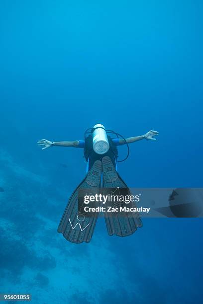 following a diver - maldivian ethnicity stock pictures, royalty-free photos & images