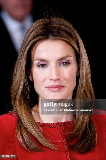 Princess Letizia of Spain attends 'Pascua Militar' at the Royal Palace on January 6, 2010 in Madrid, Spain.