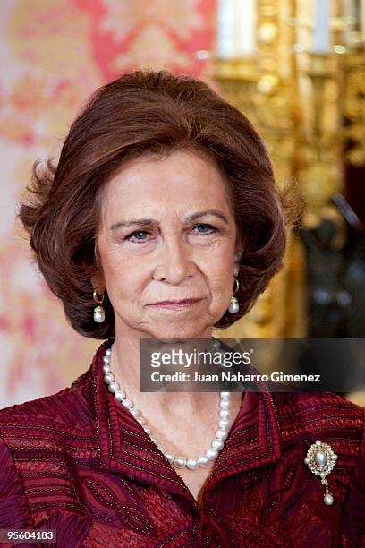 Queen Sofia of Spain attends 'Pascua Militar' at the Royal Palace on January 6, 2010 in Madrid, Spain.