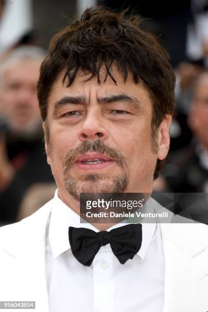 Un Certain Regard president Benicio Del Toro attends the screening of "Everybody Knows " and the opening gala during the 71st annual Cannes Film...
