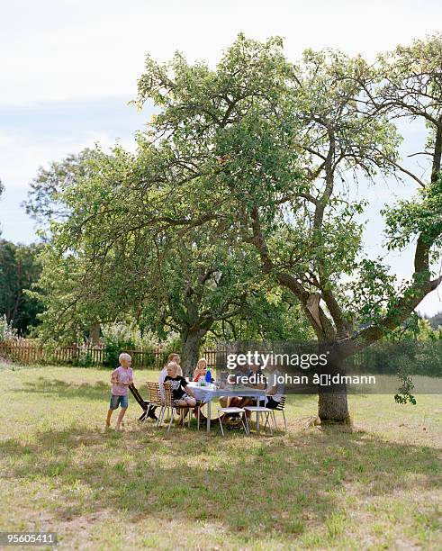 multi-generation family having dinner in the garden sweden. - kuchenboden stock-fotos und bilder