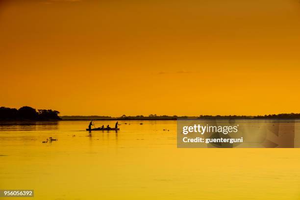 piragua (canoa) cruzar río de congor al atardecer - dugout canoe fotografías e imágenes de stock