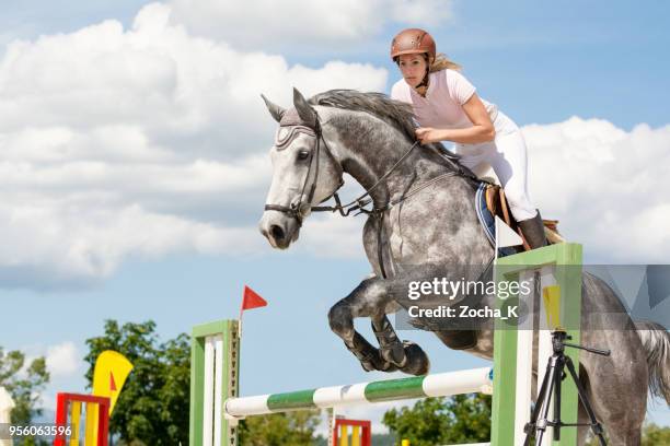 show jumping - horse with female rider jumping over hurdle - jockey clothing stock pictures, royalty-free photos & images