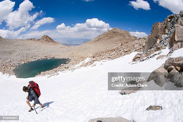 hiker traversing on snow in california. - inyo national forest stock pictures, royalty-free photos & images