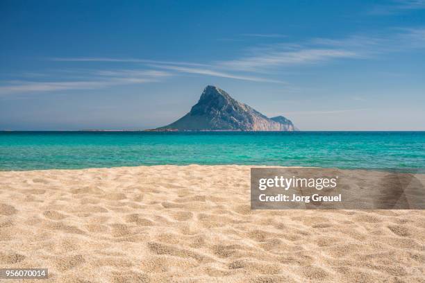 sardinian beach - sardinia stockfoto's en -beelden