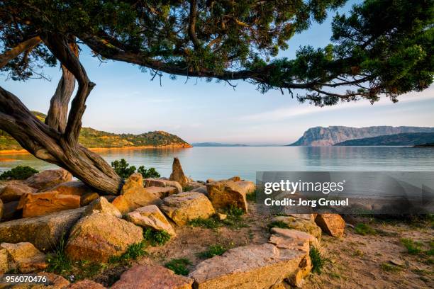 sardinia at sunrise - olbia stock pictures, royalty-free photos & images