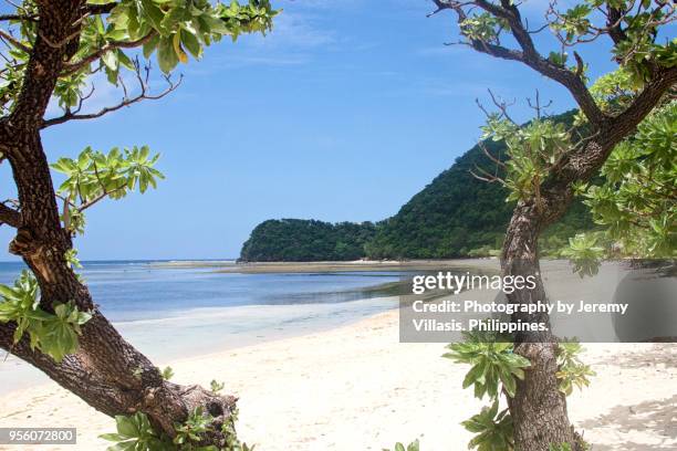 Anguib 2,490 Santa Ana Beach Stock Photos, High-Res Pictures, and Images ...