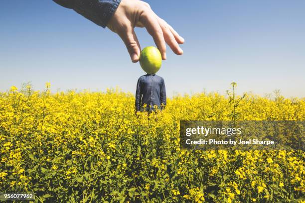 lime headed man in a field - mostarda tempero imagens e fotografias de stock