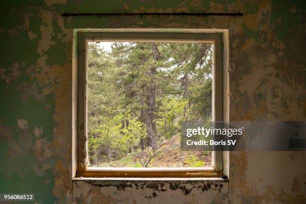 window into enchanted pine forest, abandoned log cabin - marco de ventana fotografías e imágenes de stock