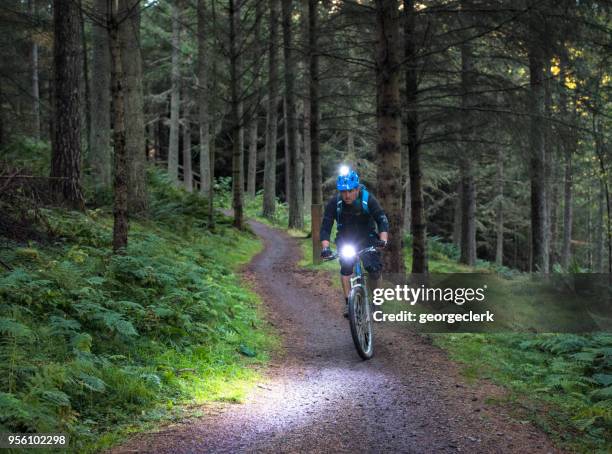 forest mountainbike med ljus i skymningen - bicycle in the night bildbanksfoton och bilder