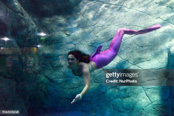 Mermaids swim in the aquarium of São Paulo and enchant children and adults this Tuesday in São Paulo.