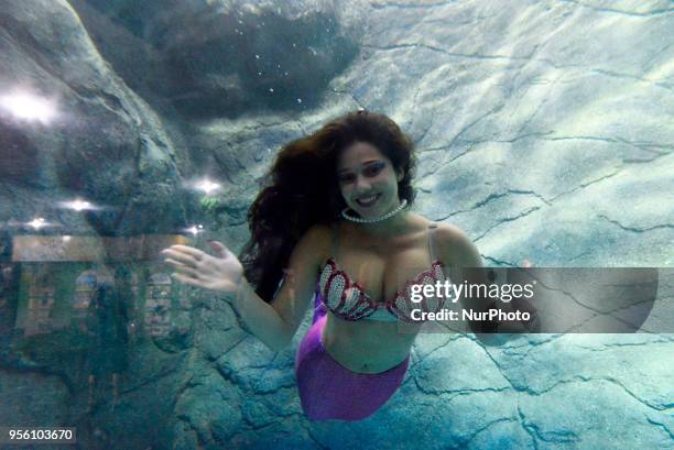 Mermaids swim in the aquarium of São Paulo and enchant children and adults this Tuesday in São Paulo.