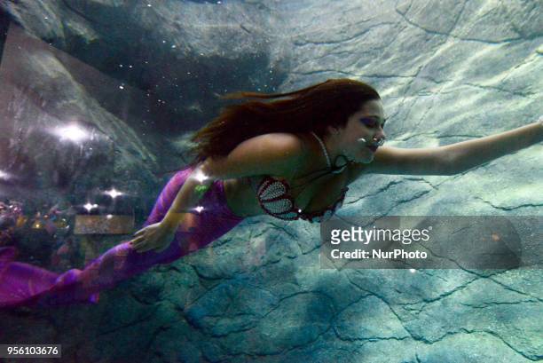 Mermaids swim in the aquarium of São Paulo and enchant children and adults this Tuesday in São Paulo.