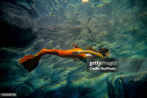 Mermaids swim in the aquarium of São Paulo and enchant children and adults this Tuesday in São Paulo.