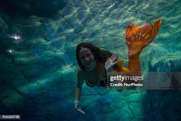 Mermaids swim in the aquarium of São Paulo and enchant children and adults this Tuesday in São Paulo.