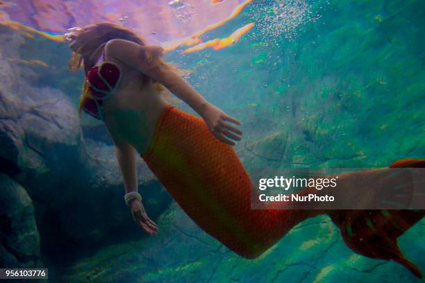 Mermaids swim in the aquarium of São Paulo and enchant children and adults this Tuesday in São Paulo.