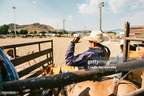 Quartered Rodeo Quarter Horse Race Photos and Premium High Res Pictures - Getty Images