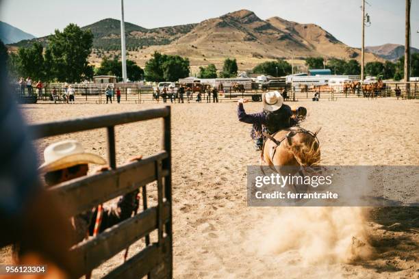 Quartered Rodeo Quarter Horse Race Photos and Premium High Res Pictures - Getty Images