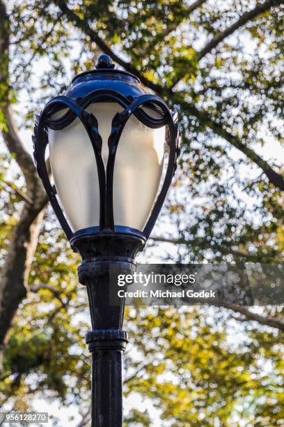 255 Park Lamp Post Stock Photos, High-Res Pictures, and Images - Getty ...