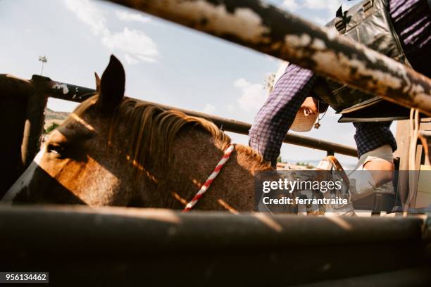 rodeo preparations - chest protector stock pictures, royalty-free photos & images