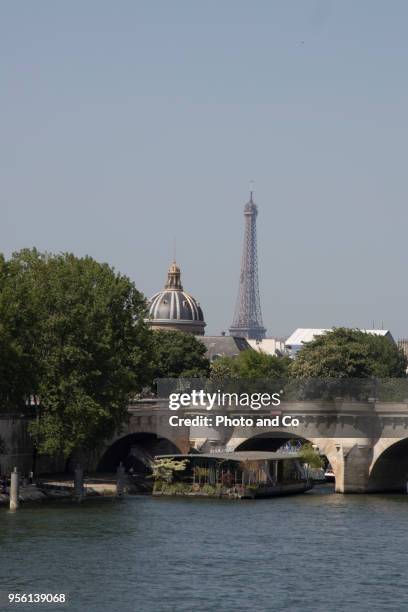 view of paris, the seine and the pont neuf - seine river stock pictures, royalty-free photos & images