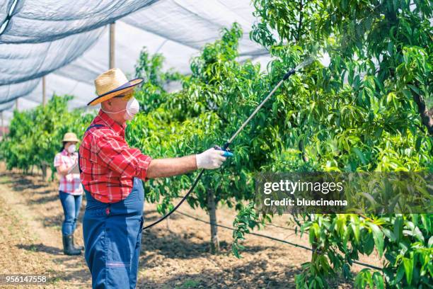 farmer protecting his plants with chemicals - herbicide spraying stock pictures, royalty-free photos & images