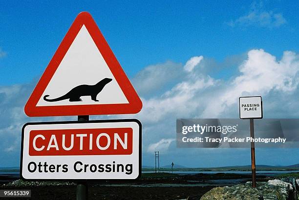 a sign reads 'caution otters crossing'. - outer hebrides stock pictures, royalty-free photos & images