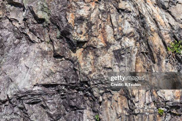 closeup of a sedimentary mountain limestone rocks texture - karst formation stockfoto's en -beelden