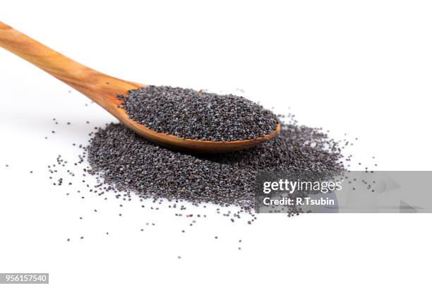 wooden spoon with poppy seeds on a white background - poppy seed stock pictures, royalty-free photos & images