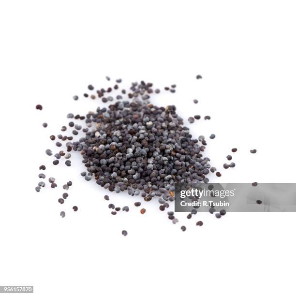 poppy seeds heap close up isolated on white background - graine de pavot photos et images de collection