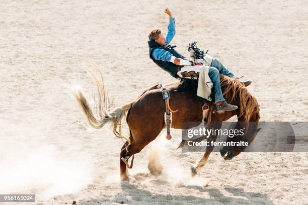 rodeo konkurrens - rodeo bildbanksfoton och bilder