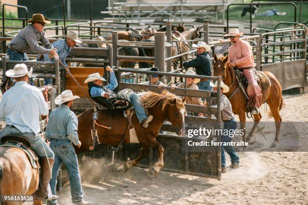 Quartered Rodeo Quarter Horse Race Photos and Premium High Res Pictures - Getty Images