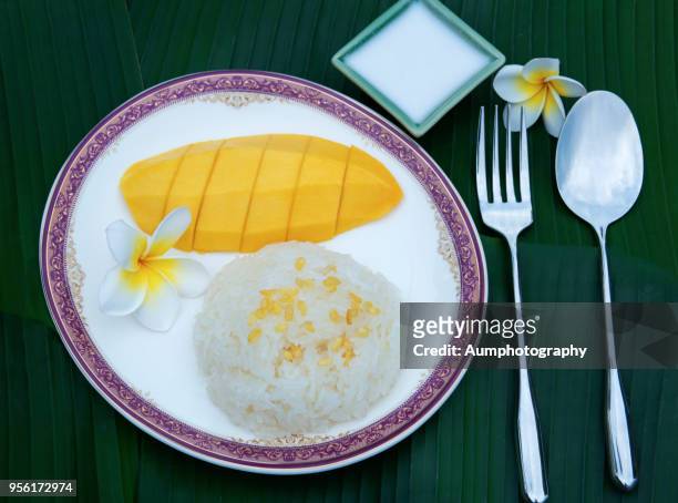 famous thai dessert, mango with sticky rice and coconut milk - arroz de grão curto imagens e fotografias de stock