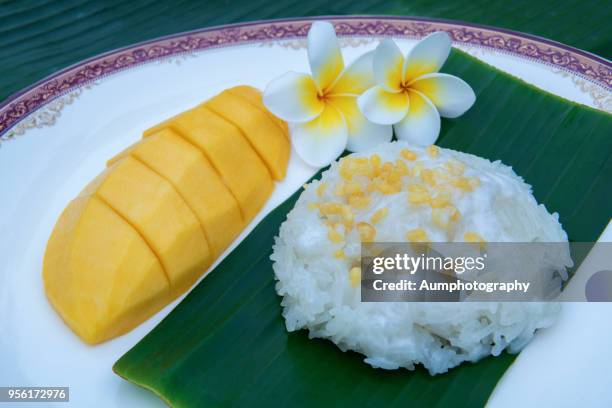 famous thai dessert, mango with sticky rice and coconut milk - arroz de grão curto imagens e fotografias de stock