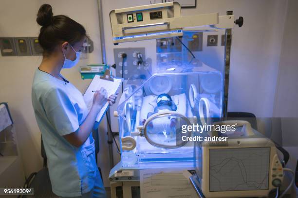 krankenschwester auf der intensivstation überprüfung neugeborenen patienten in den inkubator von gelbsucht behandelt - hot nurse stock-fotos und bilder