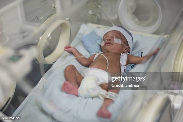 beautiful newborn in the neonatal intensive care unit sleeping - prematuro imagens e fotografias de stock