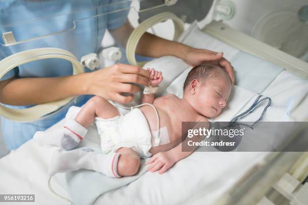 nicht erkennbare krankenschwester ein neugeborenes baby im brutkasten streicheln, während er schläft - premature baby incubator stock-fotos und bilder