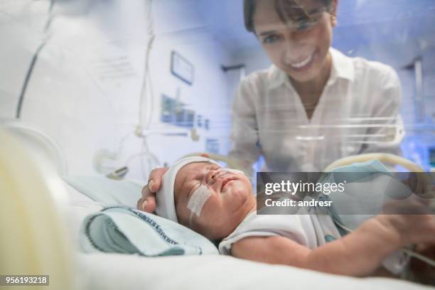 hermosa joven madre acariciando a su bebé recién nacido prematuro en la incubadora - premature baby incubator fotografías e imágenes de stock