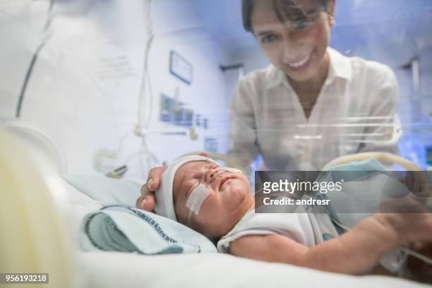 beautiful young mom caressing her premature newborn baby in the incubator - premature baby incubator stock pictures, royalty-free photos & images