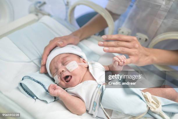 甜美的早產兒在孵化器和無法辨認的媽媽愛撫嬰兒試圖讓他冷靜下來 - premature 個照片及圖片檔